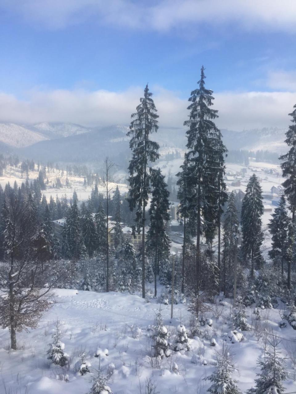 Chalet Shepit Karpat Bukovel Kültér fotó