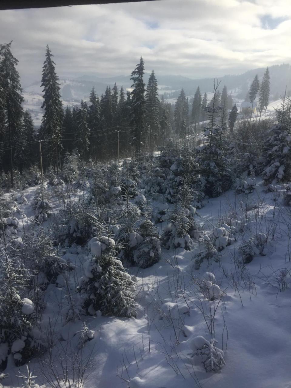 Chalet Shepit Karpat Bukovel Kültér fotó