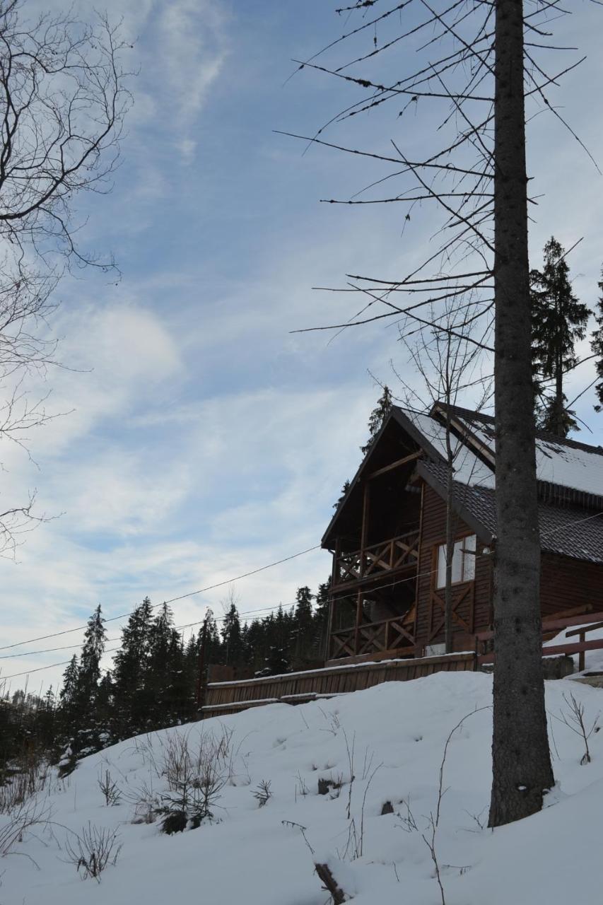 Chalet Shepit Karpat Bukovel Kültér fotó