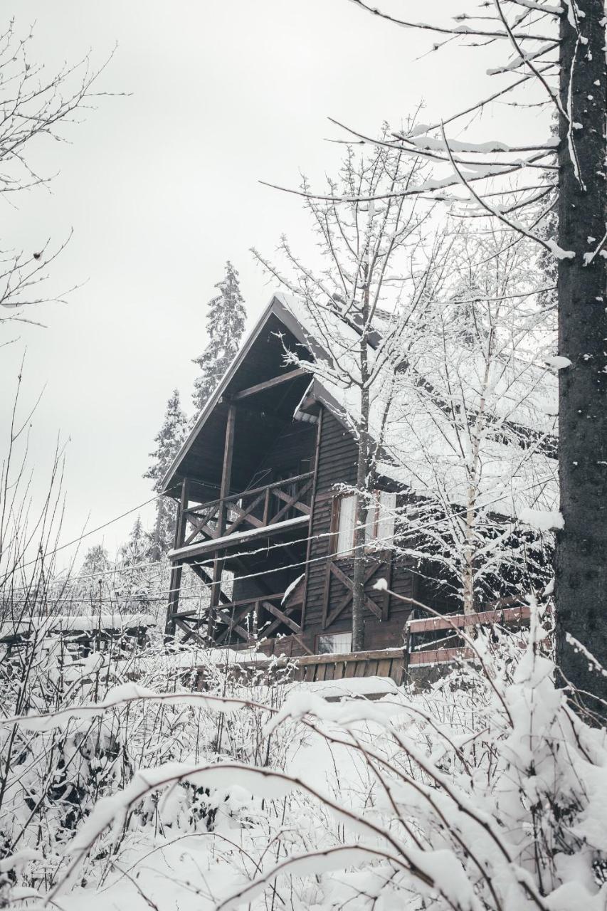 Chalet Shepit Karpat Bukovel Kültér fotó
