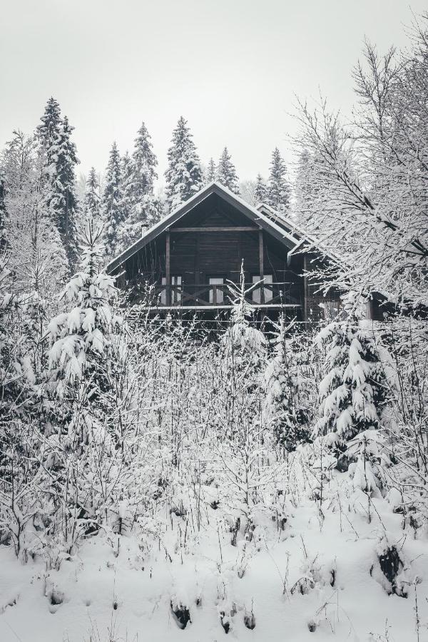 Chalet Shepit Karpat Bukovel Kültér fotó